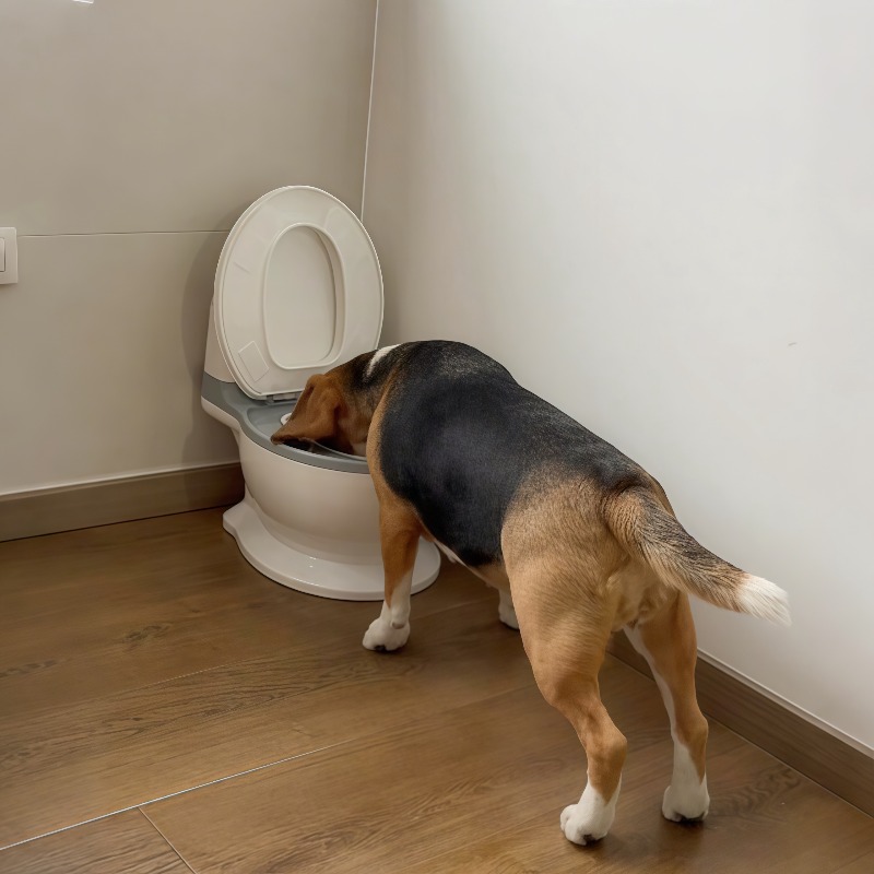Pet Feeders - 2026年新作、ユニークで面白いデザインの犬用スローフィーダーボウル。中型犬から大型犬まで使える、首を保護するウォーターボウル。家庭用ペット食器。