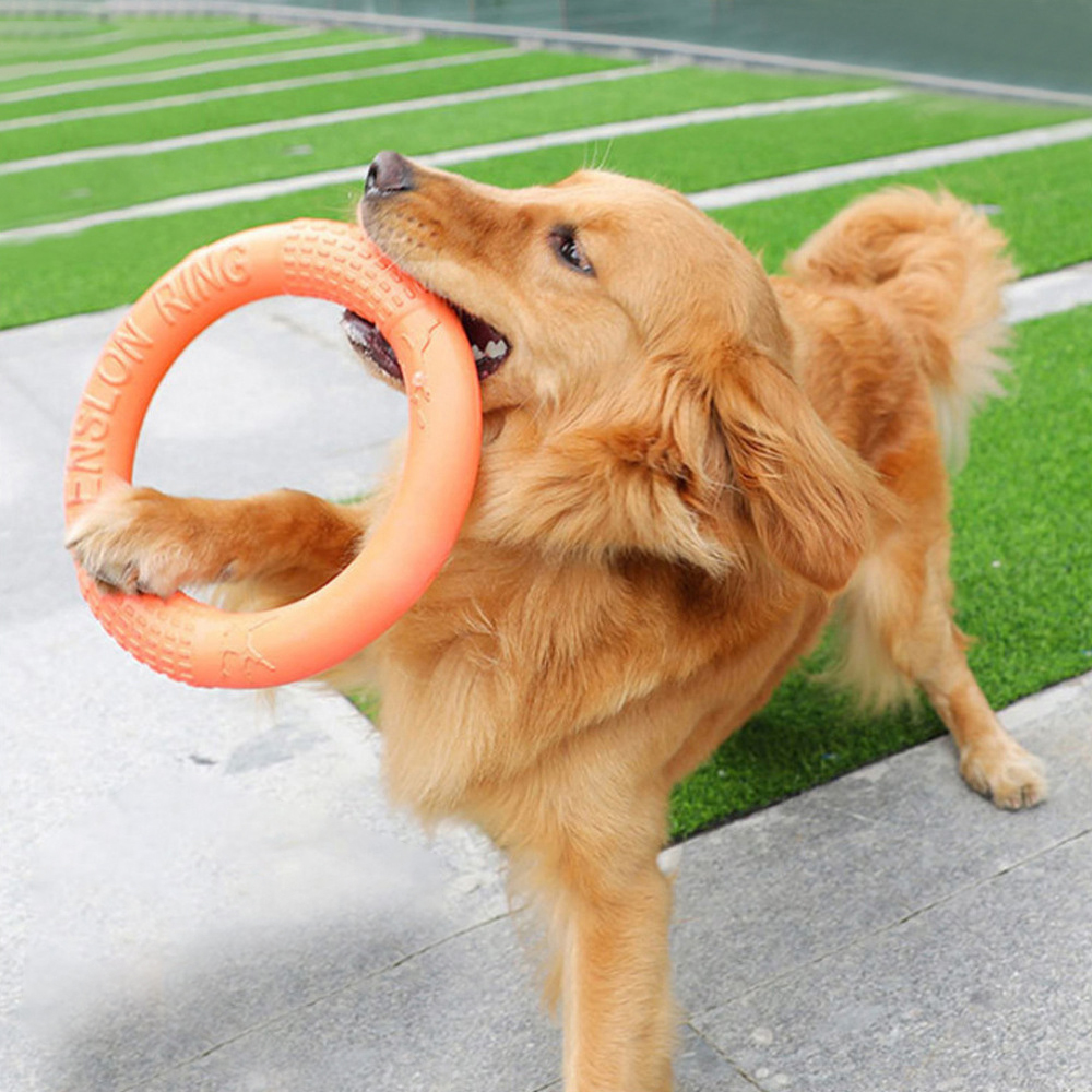 オレンジ色の犬のおもちゃペットフライングディスクトレーニング - Indestructible Dog Chew Toy のレビューと価格