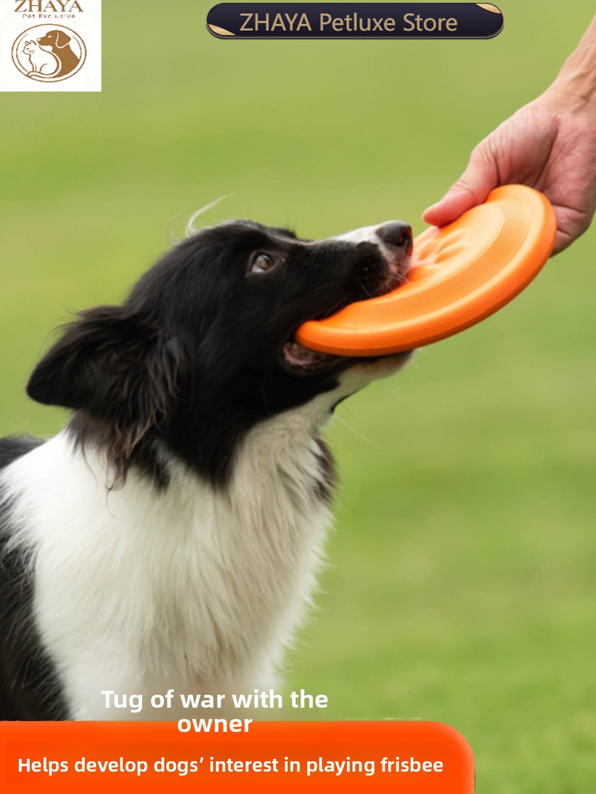 犬用フライングディスク ソフトで耐久性があり、噛みつきに強い - Flying Disc Dog Training Toy のレビューと価格