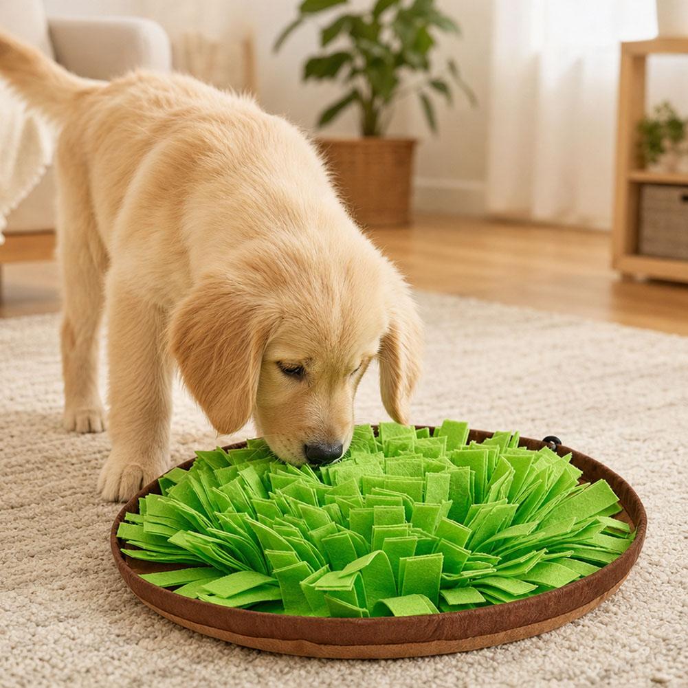 犬用スナッフルマット。インタラクティブな食事用パズルおもちゃ - Dog Puzzle Feeder Toy のレビューと価格
