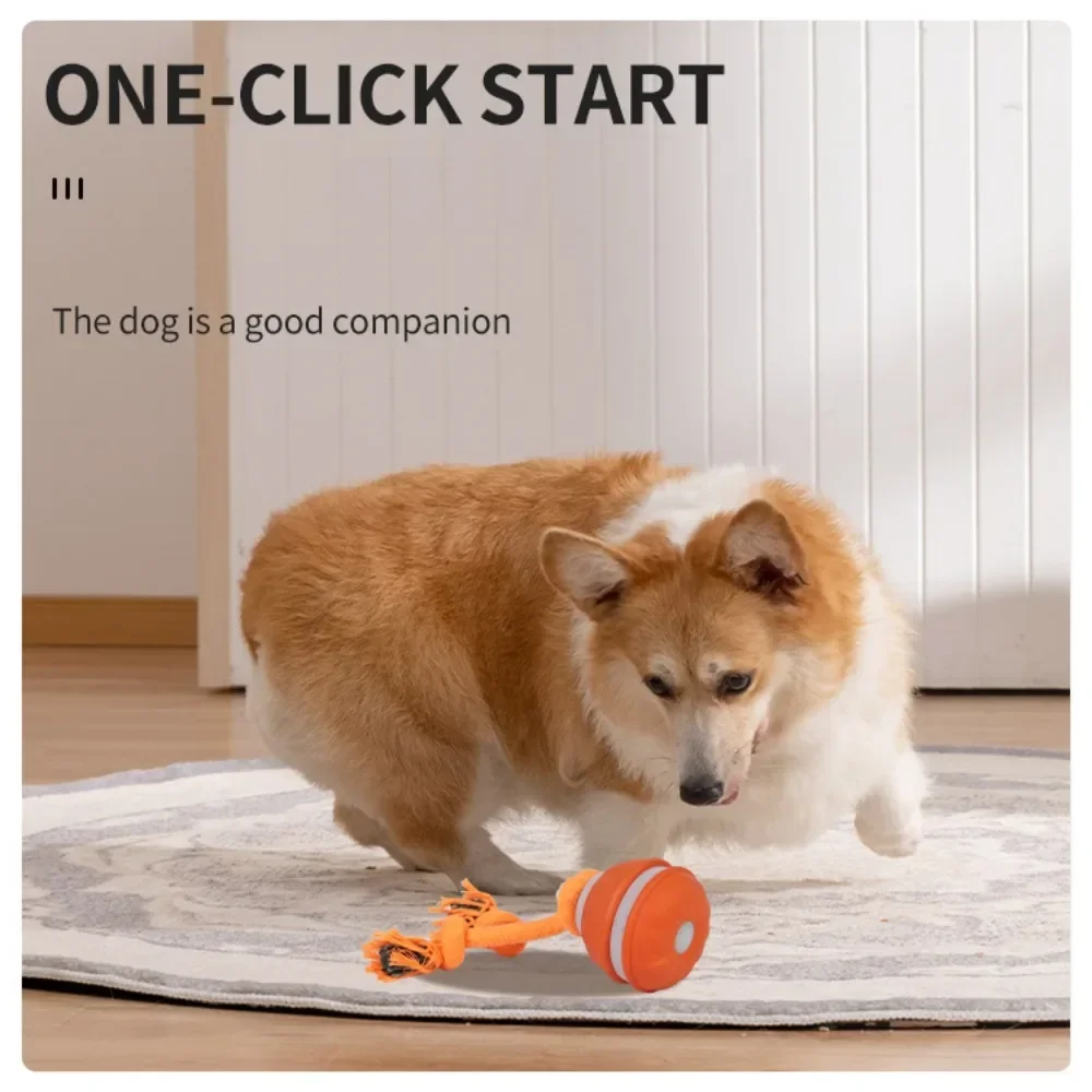 犬用ペットボール。インタラクティブなおもちゃ。動きを感知して - Automatic Moving Dog Ball のレビューと価格