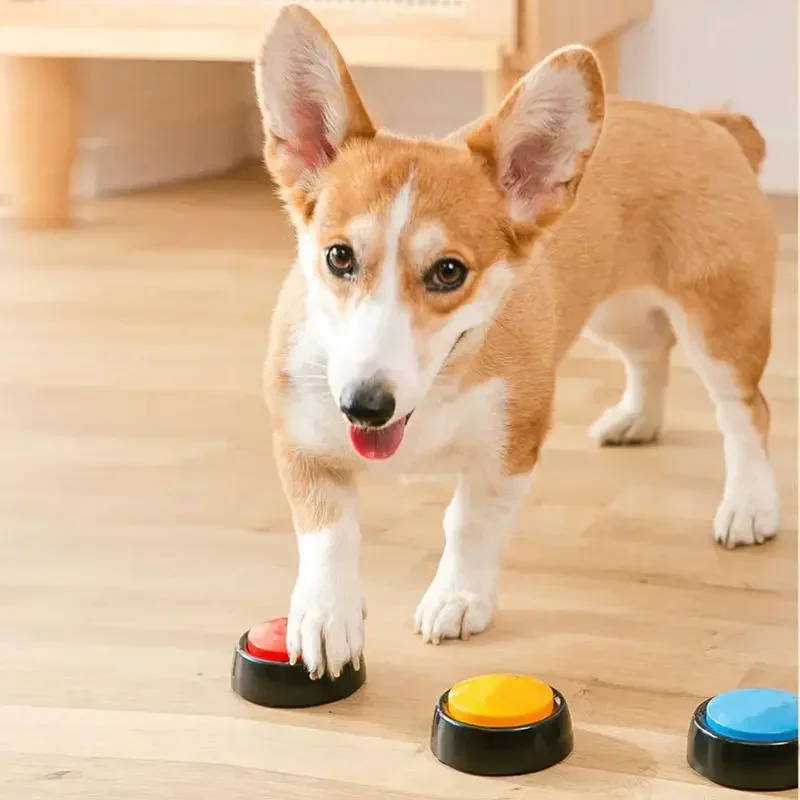 ペットサウンドボックス録音可能なトーキングボタン猫ボイスレコ - Interactive Squeaky Plush Dog Toy のレビューと価格