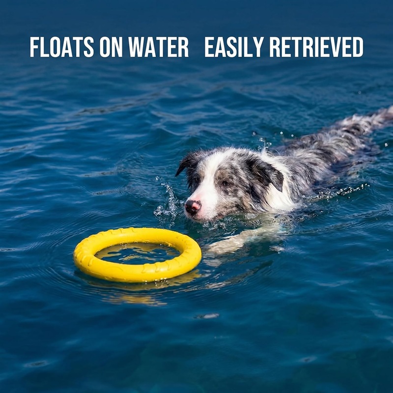 犬のおもちゃペットフライングディスクEVA犬用トレーニングリ - Indestructible Dog Chew Toy のレビューと価格