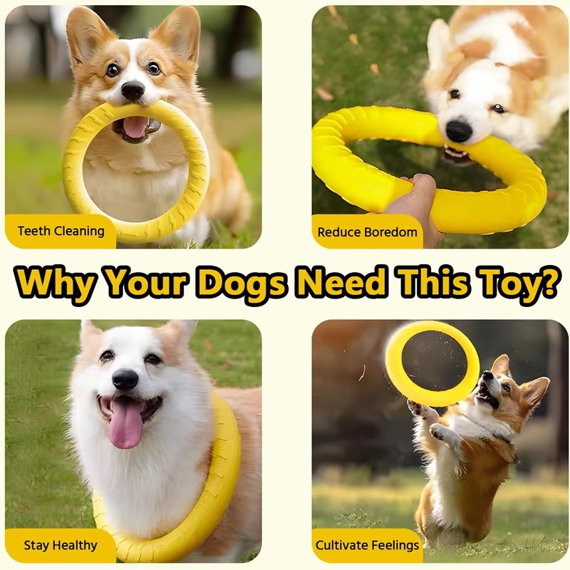犬のおもちゃペットフライングディスクEVA犬用トレーニングリ - Indestructible Dog Chew Toy のレビューと価格
