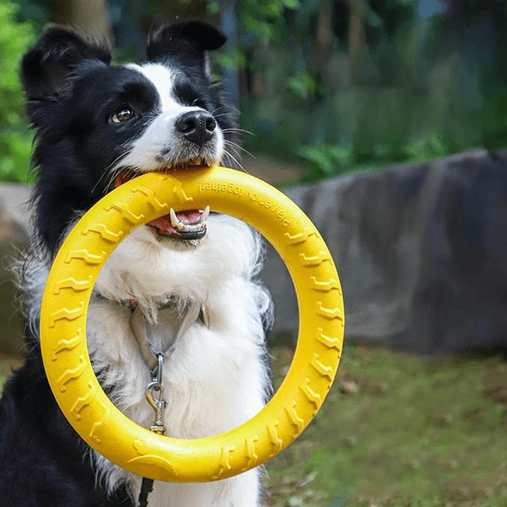 犬用リングおもちゃ。壊れにくく、噛むのに適しており、空中で飛 - Indestructible Dog Chew Toy のレビューと価格